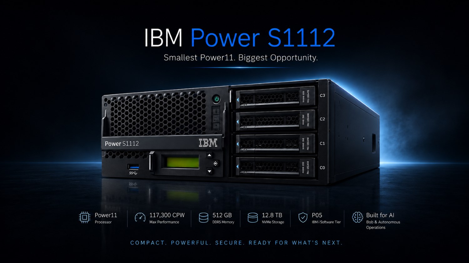 IBM Power S1112 server